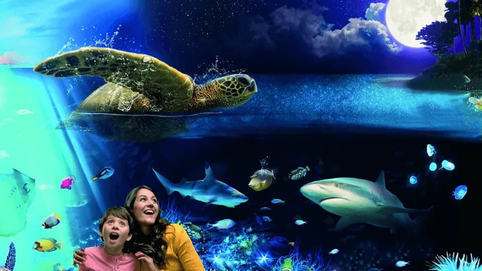 Sea Life Brighton - Image 1